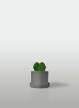 Cargar imagen en el visor de la galería, Hoya Corazón