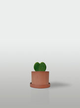 Cargar imagen en el visor de la galería, Hoya Corazón