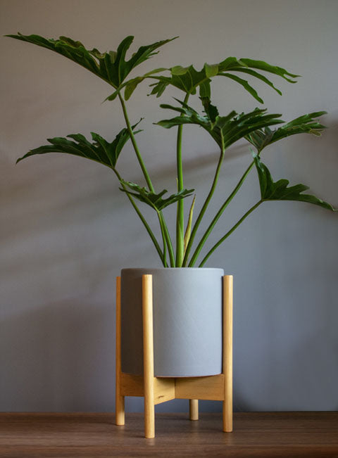 MACETAS COLECCION STAND UP - LYRATA CASA DE PLANTAS