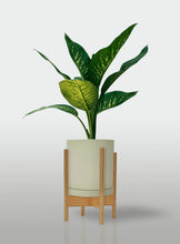 Cargar imagen en el visor de la galería, Amoena