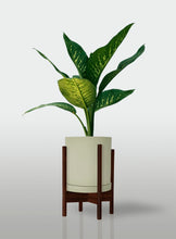 Cargar imagen en el visor de la galería, Amoena